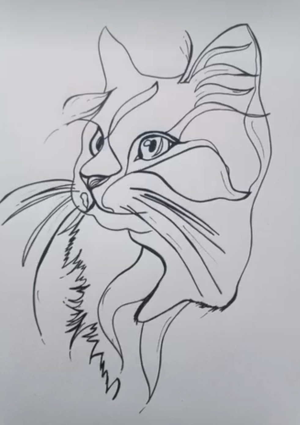 Style Dessin - Œuvres de Cely